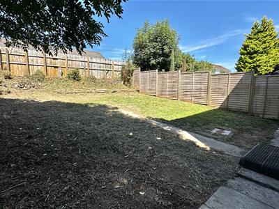 Picture 14